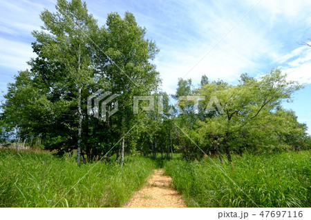 遊歩道 フェルムラ・テール美瑛 遊歩道 フェルムラ・テール美瑛 47697116