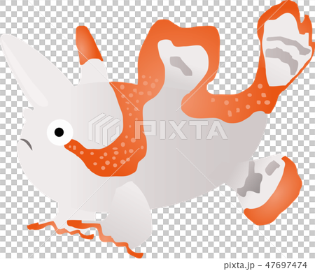 Frogfish 47697474