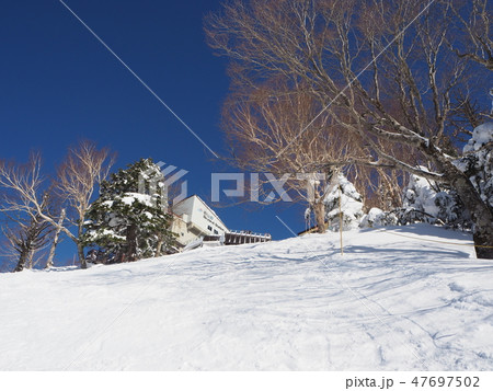 190202竜王006 47697502