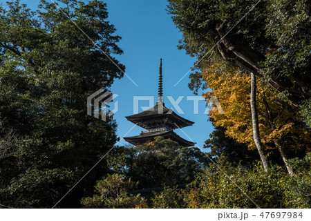 妙成寺の秋 妙成寺の秋 47697984