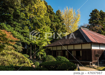 妙成寺の秋 妙成寺の秋 47697987