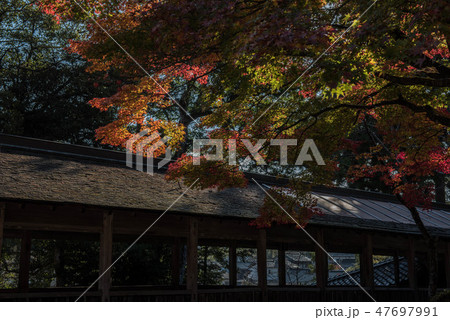 妙成寺の秋 47697991