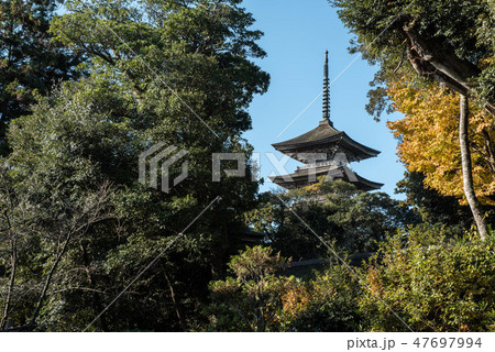 妙成寺の秋 47697994