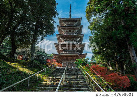 妙成寺の秋 47698001