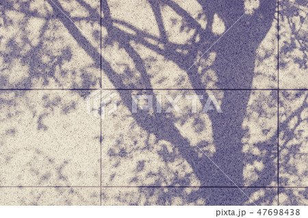 Tree branches shadow silhouette on wall Tree branches shadow silhouette on wall 47698438