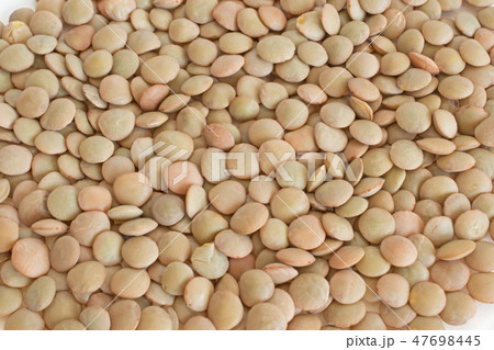 レンズ豆 レンズ豆 47698445
