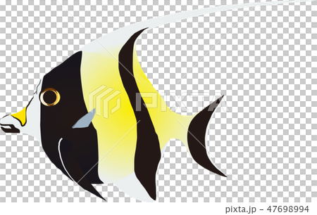 ツノダシ ツノダシ 47698994