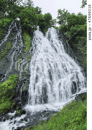 オシンコシンの滝　夏景 47699316
