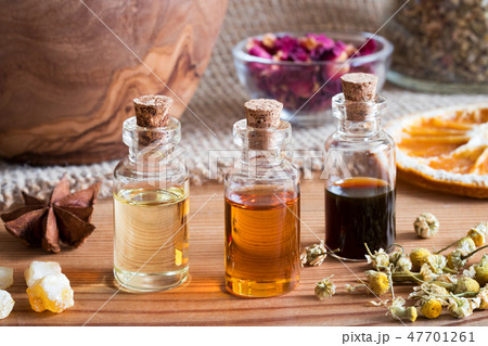 Bottles of essential oil with herbs Bottles of essential oil with herbs 47701261