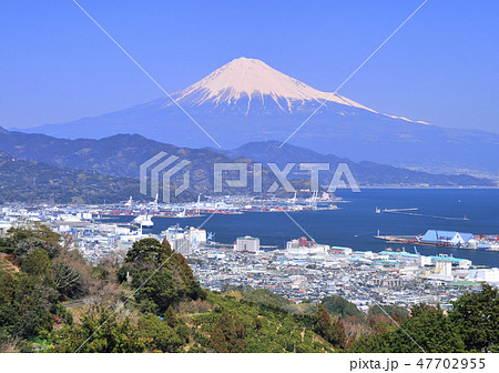 日本平からの風景-8602 47702955