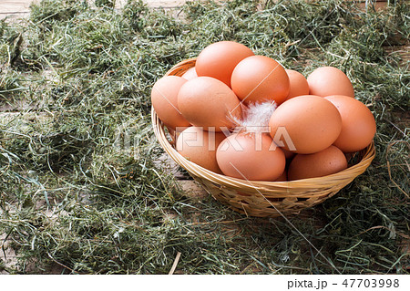 Fresh chicken eggs in a basket on straw  47703998