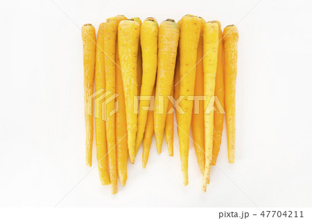 島にんじん 島にんじん 47704211