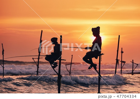 Traditional stilt fishing in Sri Lanka 47704334
