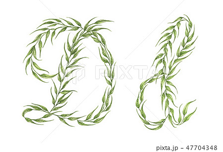 Alphabet of green leaves with letter D. Watercolor 47704348