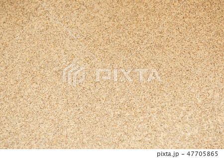 砂壁　和室 47705865