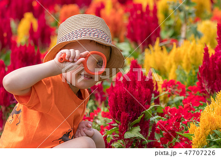 Boy with magnifying glass looking for insects 47707226