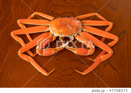 かに 蟹 丸ごと 1匹 食材 ずわいがに かに 蟹 丸ごと 1匹 食材 ずわいがに 47708375