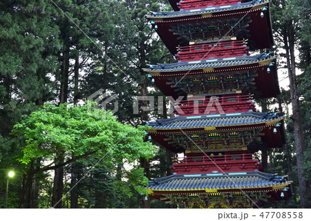 東照宮五重塔 東照宮五重塔 47708558