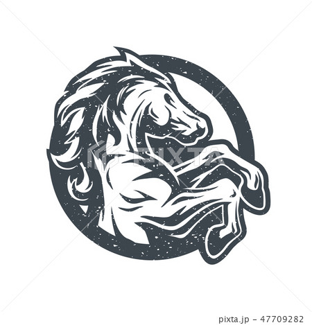 Wild horse, logo, symbol. Wild horse, logo, symbol. 47709282