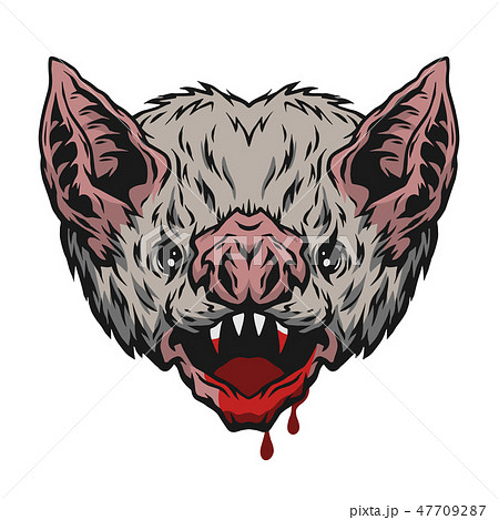 Head vampire bat. Head vampire bat. 47709287
