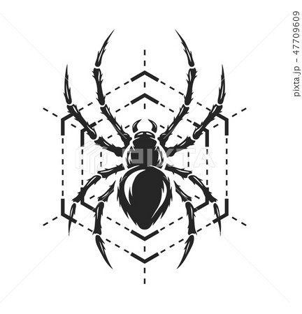 Spider And Web Monochrome Symbol のイラスト素材