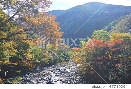 玉川峡の秋　和歌山県橋本市 47710294