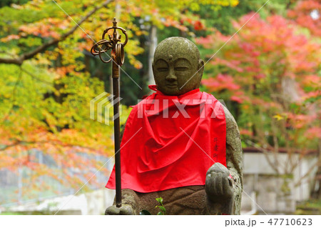 牛滝山大威徳寺の紅葉とお地蔵さん 大阪府岸和田市 牛滝山大威徳寺の紅葉とお地蔵さん 大阪府岸和田市 47710623