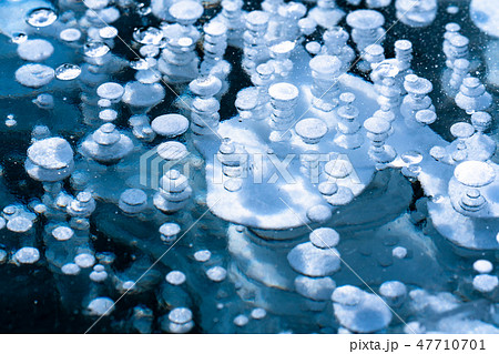 《北海道》アイスバブル・自然現象《糠平湖》 《北海道》アイスバブル・自然現象《糠平湖》 47710701