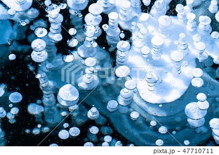 《北海道》アイスバブル・自然現象《糠平湖》 《北海道》アイスバブル・自然現象《糠平湖》 47710711