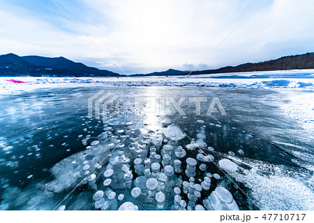 《北海道》アイスバブル・自然現象《糠平湖》 47710717