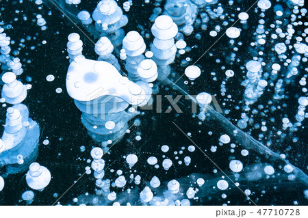 《北海道》アイスバブル・自然現象《糠平湖》 47710728