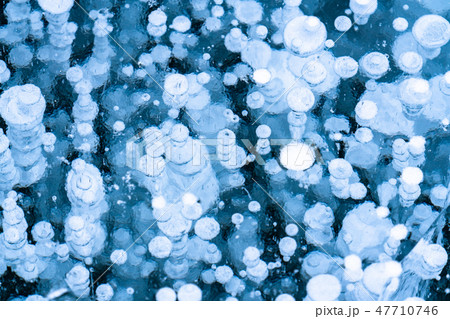 《北海道》アイスバブル・自然現象《糠平湖》 47710746
