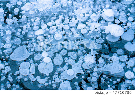 《北海道》アイスバブル・自然現象《糠平湖》 《北海道》アイスバブル・自然現象《糠平湖》 47710786