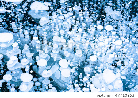 《北海道》アイスバブル・自然現象《糠平湖》 《北海道》アイスバブル・自然現象《糠平湖》 47710853