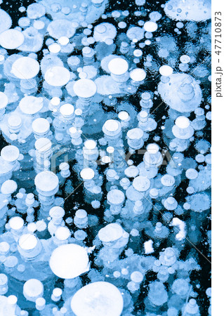 《北海道》アイスバブル・自然現象《糠平湖》 47710873