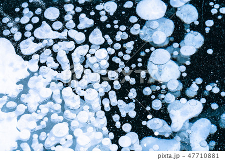 《北海道》アイスバブル・自然現象《糠平湖》 《北海道》アイスバブル・自然現象《糠平湖》 47710881