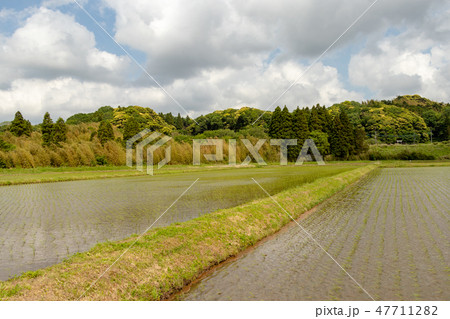 田園風景　千葉県夷隅郡大多喜町 47711282