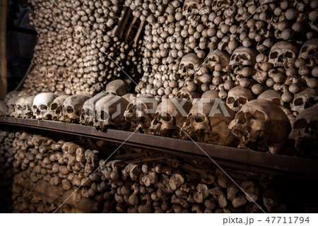 チェコ セドレツ納骨堂 47711794