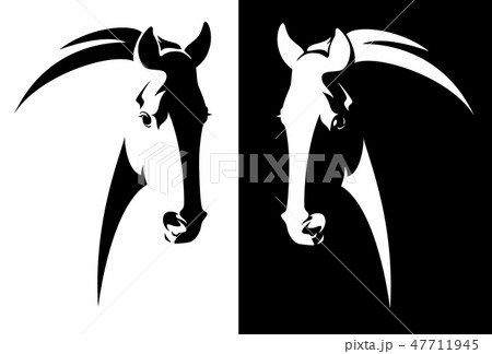 black and white horse head vector 47711945