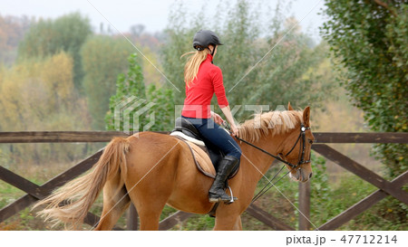 Woman riding horse, back view. 47712214