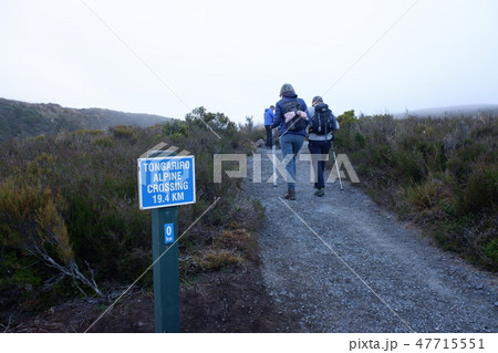 トンガリロアルパインクロッシング(Tongariro Alpine Crossing) トンガリロアルパインクロッシング(Tongariro Alpine Crossing) 47715551