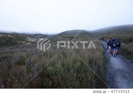 トンガリロアルパインクロッシング(Tongariro Alpine Crossing) トンガリロアルパインクロッシング(Tongariro Alpine Crossing) 47715552