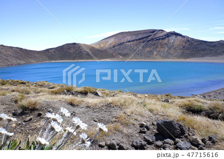 トンガリロアルパインクロッシング（Tongariro Alpine Crossing） 47715616