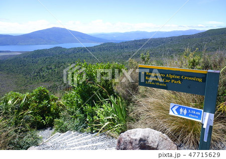 トンガリロアルパインクロッシング（Tongariro Alpine Crossing） 47715629