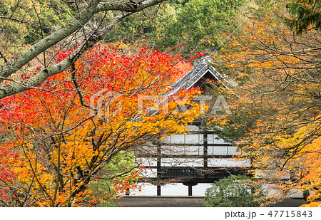 南禅寺、本坊を背に紅葉 47715843