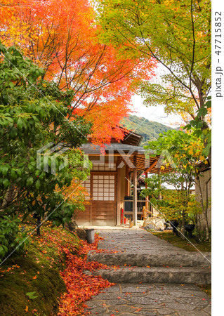 高台寺、湖月庵の紅葉 47715852