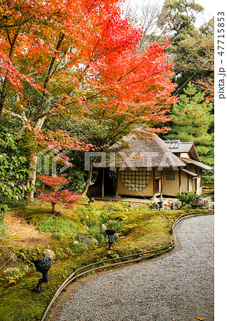 高台寺、遺芳庵と紅葉 47715853