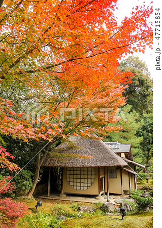 高台寺、遺芳庵と紅葉 47715854