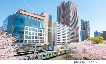 埼玉県　川口駅西口周辺の桜　春 47717993