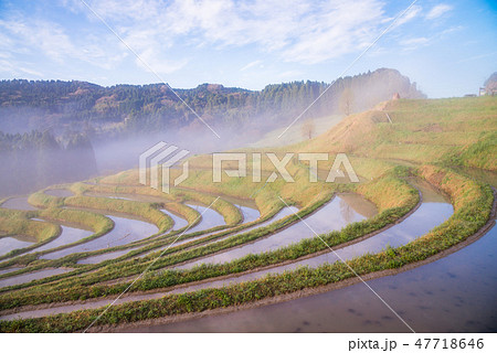 （千葉県）朝霧の大山千枚田　春 47718646